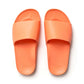 Archies Slides